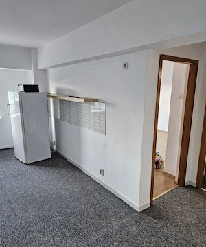 Apartament 2 camere decomandat, nemobilat N. Titulescu   Piata Victoriei  - imagine 3