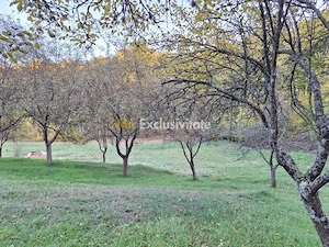 Teren 600mp intravilan - Balotesti - imagine 4