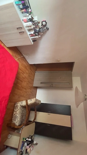 apartament cu o camera de inchiriat in zona Sagului - imagine 2