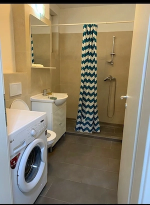 De inchiriat apartament 2 camere in zona Dumbravita - imagine 8