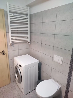 Apartament cu o camera de inchiriat in zona Dumbravita - imagine 8