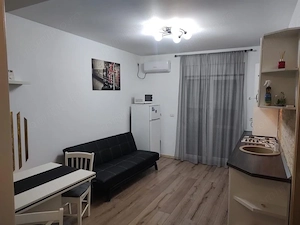 Apartament cu o camera de inchiriat in zona Dumbravita - imagine 4
