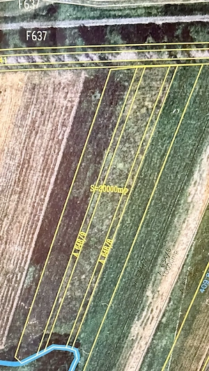 Parcele de teren Lugoj   strada Buziașului, acces direct asfalt (350 mp, 700 mp, 1000 mp) - imagine 3