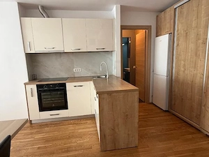 Apartament 2 camere cu gradina proprie pe sos Sisesti - imagine 4