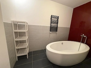Apartament 2 camere cu gradina proprie pe sos Sisesti - imagine 10