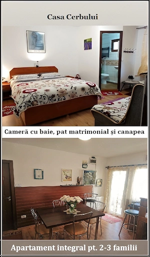 Cazare de CRĂCIUN și REVELION la munte  - imagine 3