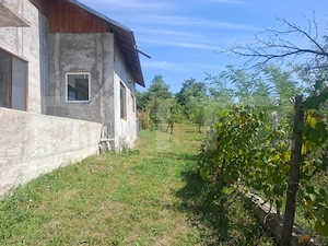 🏡 Casă 206 mp la gri + teren 1.832 mp, deschidere 15 ml – Glodeni Deal - imagine 3