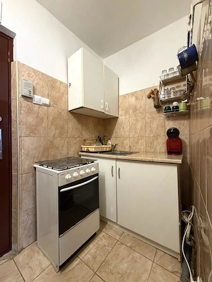 Apartament cu 1 camera, 22 mp utili, etaj 3, mobilat- zona Buziasului - imagine 4