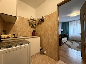 Apartament cu 1 camera, 22 mp utili, etaj 3, mobilat- zona Buziasului - imagine 6