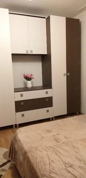  apartament 2 camere zona Buziasului - imagine 3