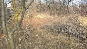 Vânzare teren intravilan comuna Gornet, județul Prahova - imagine 3
