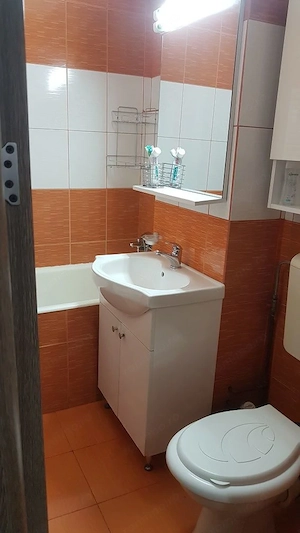 inchiriere apartament cu 2 camere zona Medicina - imagine 2