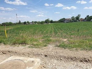 Vând teren intravilan situat în Moara Vlăsiei, Strada Berzei - imagine 3
