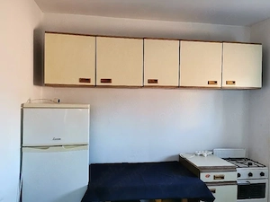 Apartament 1 camera de inchiriat, Timisoara - imagine 2
