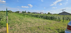 Vând teren intravilan situat în Moara Vlăsiei, Strada Berzei - imagine 7