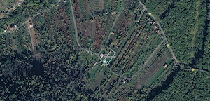 Teren 1.770 mp Dealul Viilor, Ineu   zonă în plină dezvoltare