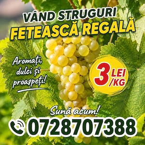 Struguri de vânzare