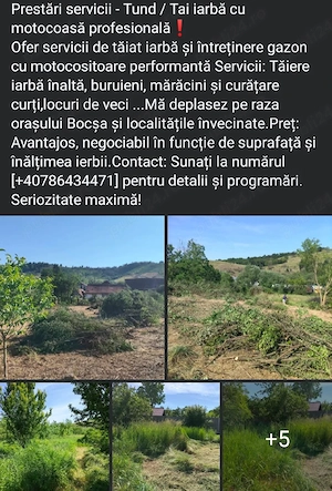 Ofer servicii 
