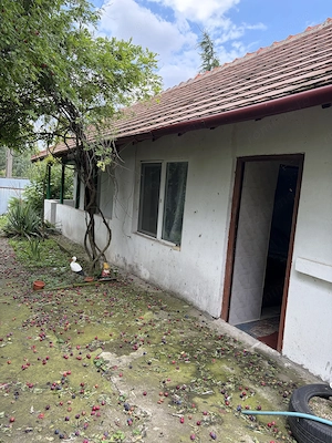 Afumați, Jud. Ilfov, strada Mircea Vodă, casă demolabilă - imagine 5