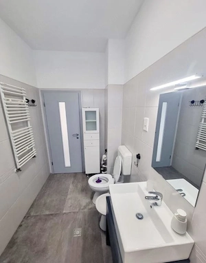 Torontalului - Apartament  2  Camere  - imagine 6
