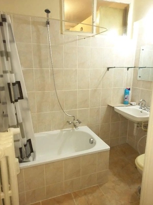  inchiriere apartament cu o camera zona Take Ionescu - imagine 3