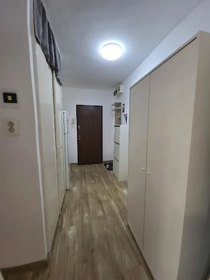 Inchiriez apartament o camera confort I decomandat 34mp, Sagului - imagine 4