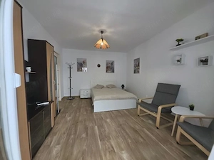 Inchiriez apartament o camera confort I decomandat 34mp, Sagului - imagine 2