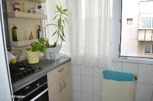 Popa Sapca - Apartament 3 Camere, Etaj 1, 68 Mp - imagine 14