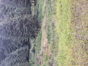 Teren de vanzare in zona de munte 