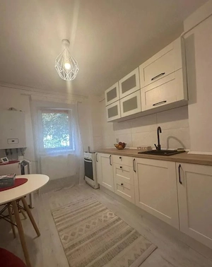 Lipovei - Sever Bocu - Apartament 2 Camere -Parter Inalt - imagine 6