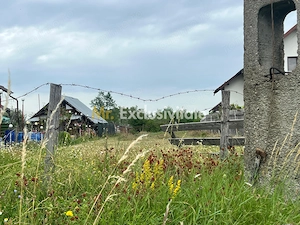 Teren intravilan în Băbana 1575 mp intravilan