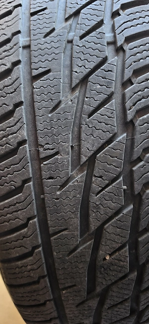 Roti Duster iarna - imagine 5