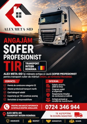 Angajez sofer profesionist pe intern