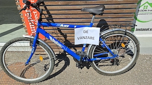 Bicicleta DHS