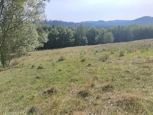 Teren de vânzare 10 800 metrii pătrați. - imagine 4