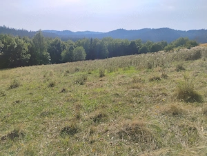 Teren de vânzare 10 800 metrii pătrați. - imagine 2
