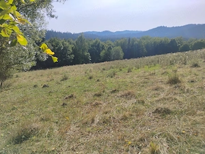 Teren de vânzare 10 800 metrii pătrați.