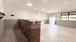 Spatiu comercial de inchiriat, Uihei, comuna Sandra, Judet Timis - imagine 5