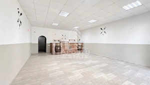 Spatiu comercial de inchiriat, Uihei, comuna Sandra, Judet Timis - imagine 3