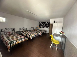 Afacere la Cheie   Centru de Batrani 30 de Camere   Lenauheim - imagine 14
