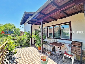 Casă P+1 cu subsol, 219 mp, teren 547 mp – Valea Mare Podgoria - imagine 19