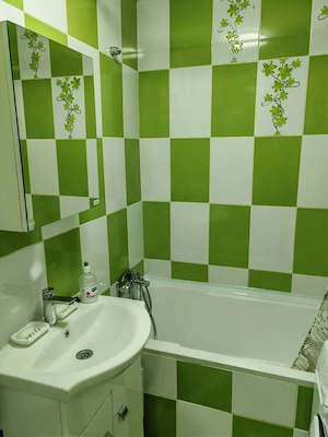 Garsoniera  Titan-Ozana-Jean Steriadi, complet renovata, bloc mixt - imagine 3