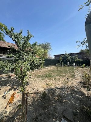 Casa de vanzare in Voiteg, jud. Timis - imagine 4
