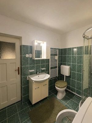 Casa de vanzare in Voiteg, jud. Timis - imagine 10