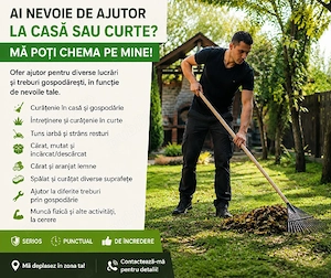 Ai nevoie de ajutor la casă sau curte?
