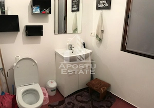 Casă cu 4camere,de inchiriat cu curte 200mp, în Mosnita Vechie - imagine 13
