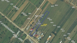 Teren intravilan zona Vadu Pasii BZ 4.000mp d=20m drum asfaltat utilitati Pret: - imagine 2