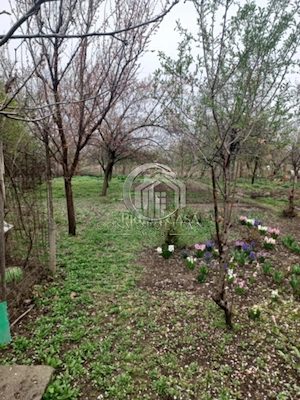 Casa zona Dorobanti teren 500mp toate utilitatile 58.000 euro - imagine 10
