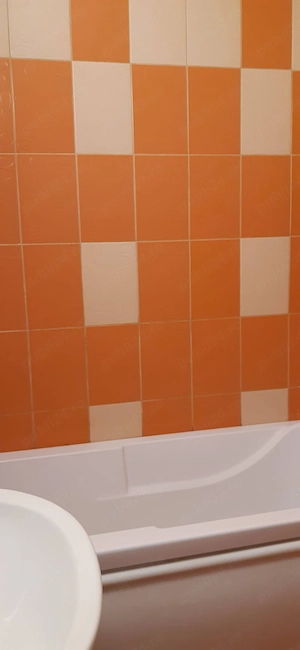 Închiriez apartament 2 camere Grigorescu - imagine 8