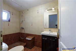 Proprietate privilegiata, in armonie cu natura, Sacele - imagine 10